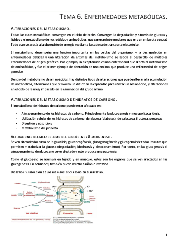 Miniatura del documento Tema-6.pdf