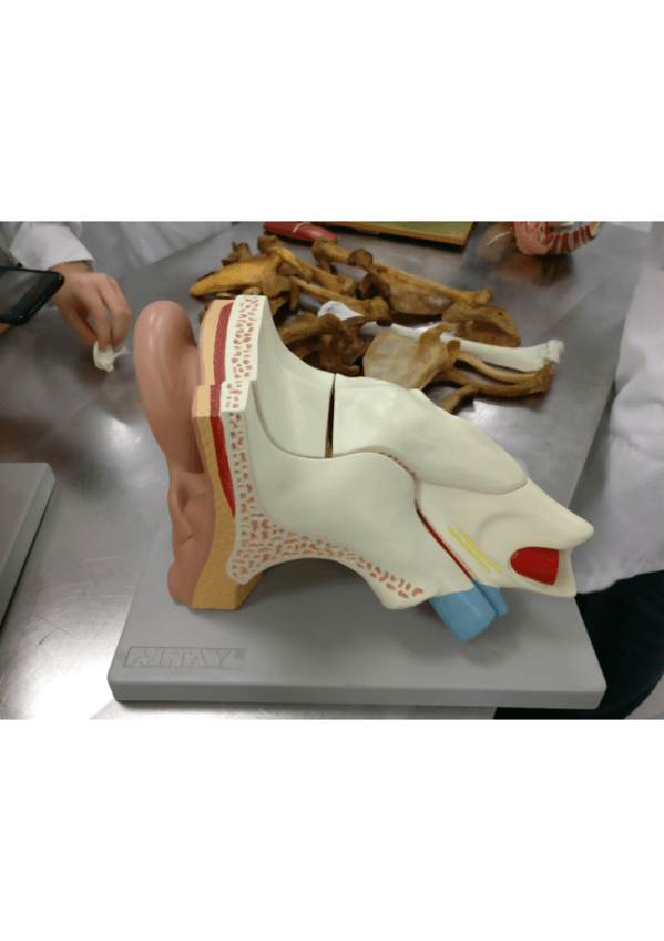 Miniatura del documento IMG2017020212.pdf