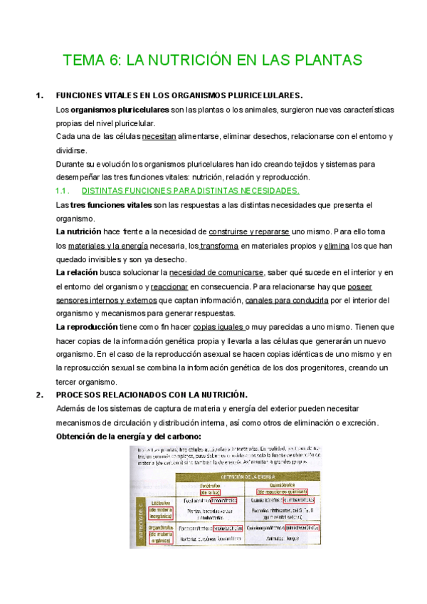 Miniatura del documento TEMA-6.pdf