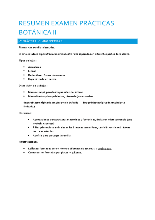 Miniatura del documento practica 2pdf.pdf