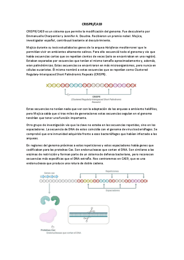 Miniatura del documento CRISPR-CAS9.pdf