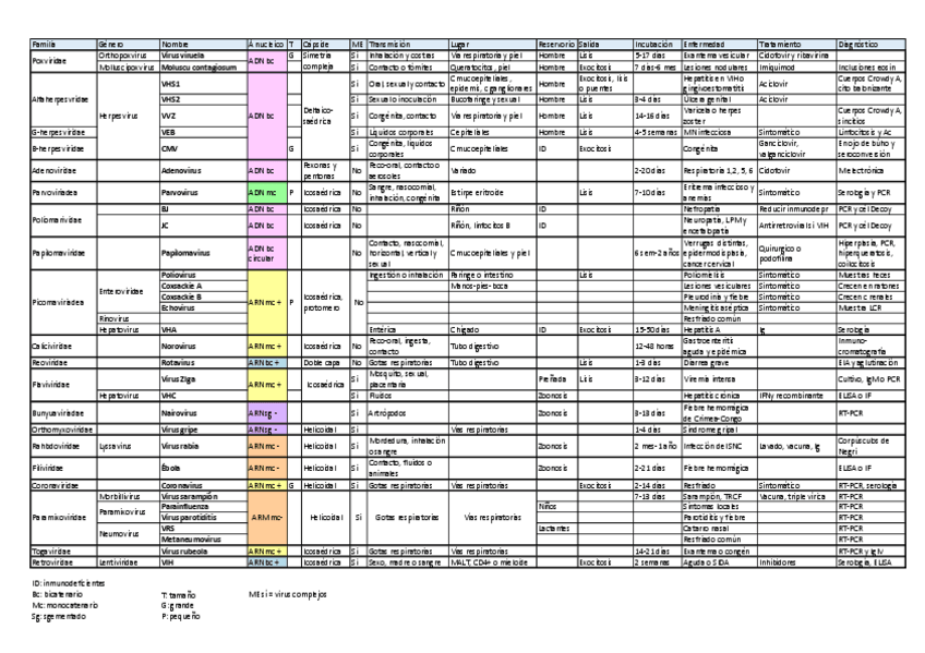Miniatura del documento VIRUS.pdf