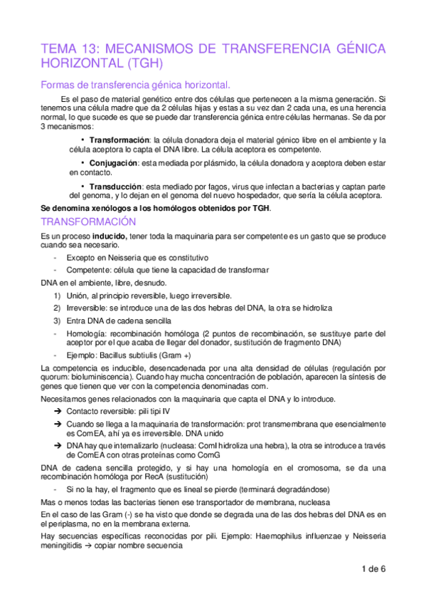 Miniatura del documento T13.pdf