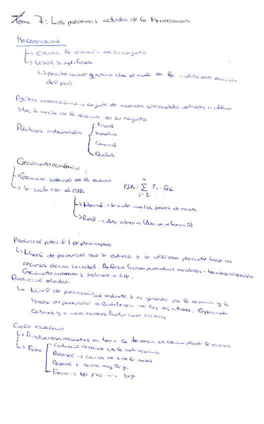 Miniatura del documento Digitalizar-20-dic.pdf