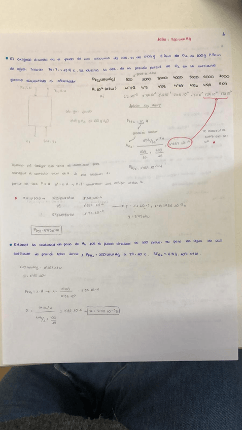 Miniatura del documento 3.jpg