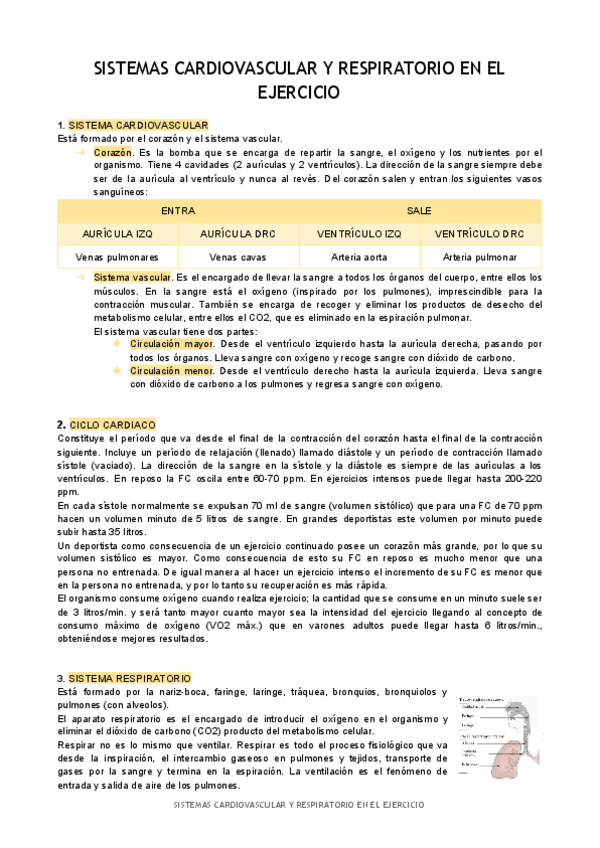 Miniatura del documento T4-Sistemas-cardiovascular-y-respiratorio-en-el-ejercicio.pdf