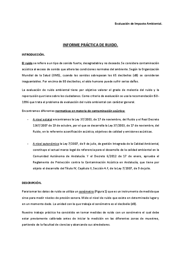 Miniatura del documento INFORME-PRACTICA-RUIDO-.pdf
