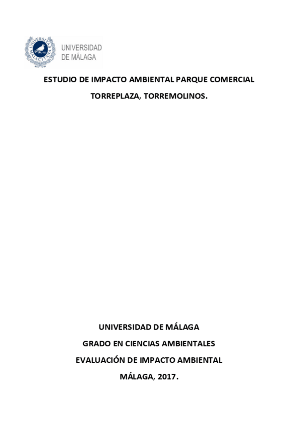 Miniatura del documento TRABAJO-FINAL-EIA.pdf