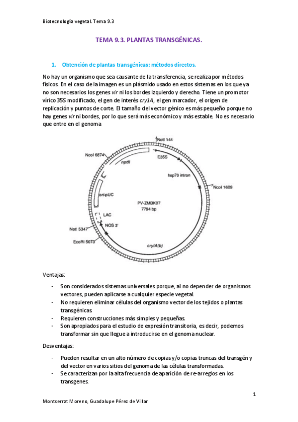 Miniatura del documento TEMA-9.pdf