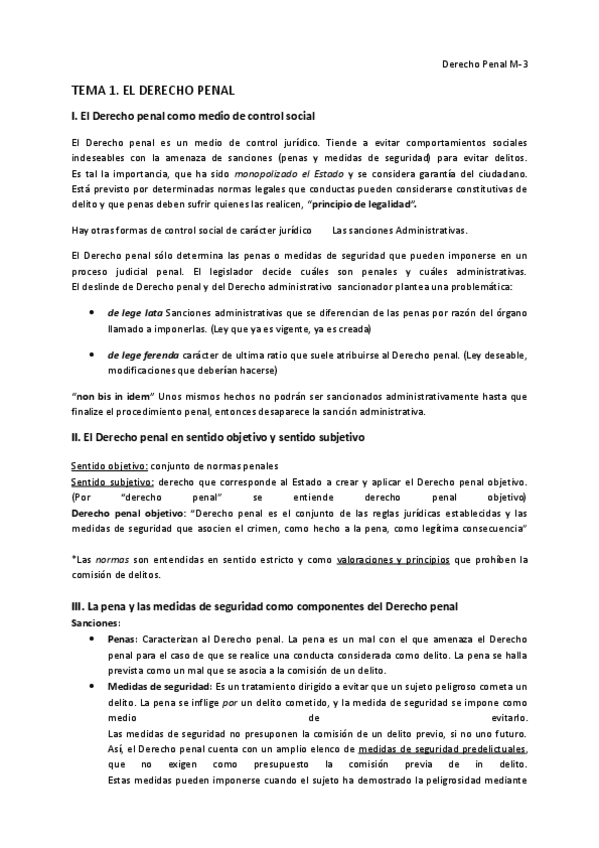 Miniatura del documento Apuntes Derecho Penal I.pdf