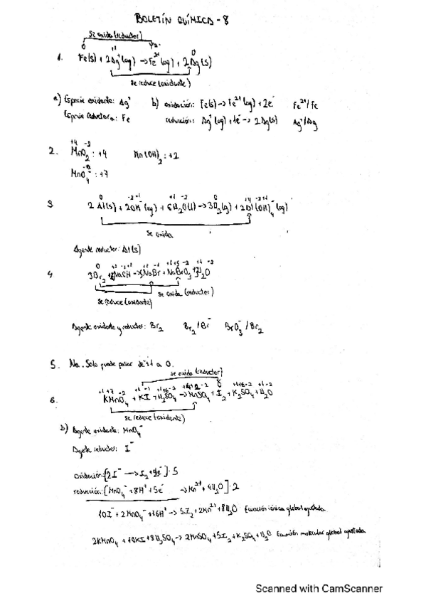 Miniatura del documento BOLETIN-QUIMICA-8.pdf