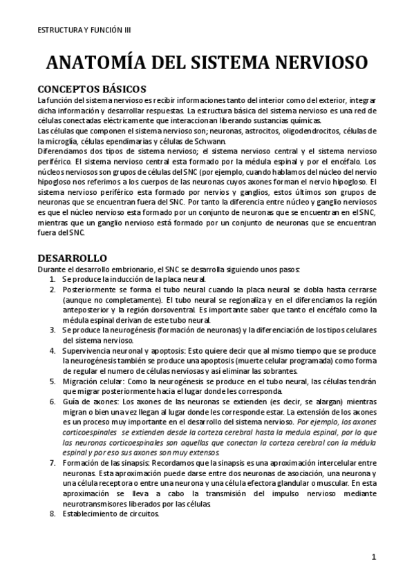 Miniatura del documento ANATOMIA-DEL-SISTEMA-NERVIOSO.pdf