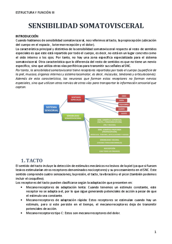 Miniatura del documento SENSIBILIDAD-SOMATOVISCERAL.pdf