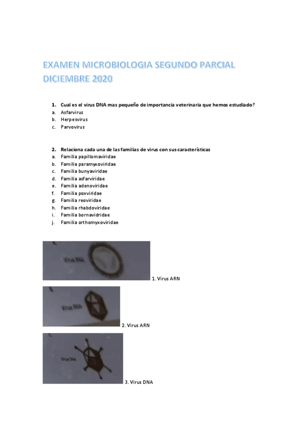 Miniatura del documento EXAMEN-MICROBIOLOGIA-SEGUNDO-PARCIAL-DICIEMBRE-2020.pdf