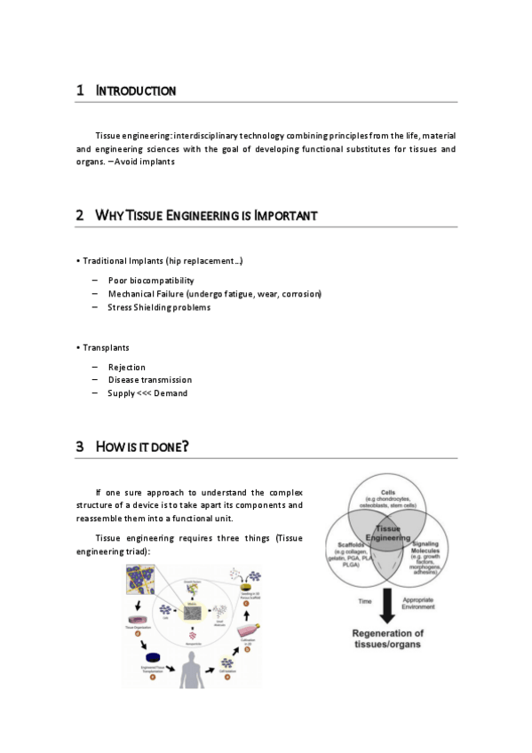 Miniatura del documento L3.pdf