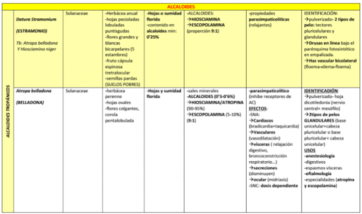 Miniatura del documento FARMACOGNOSIA TABLA ALCALOIDES.PNG