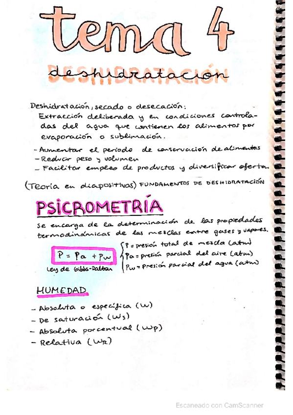Miniatura del documento tema-4-TAL1.pdf