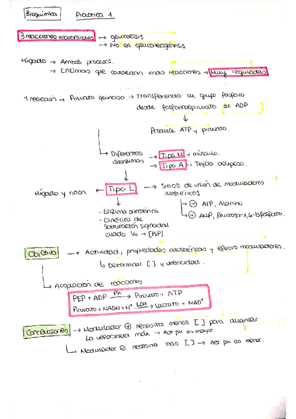 Miniatura del documento apuntes-practicas-bioquimica-II.pdf