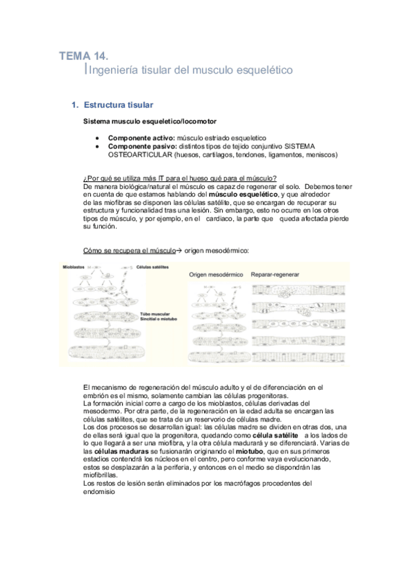 Miniatura del documento TEMA-14-BIOMEDICINA.pdf