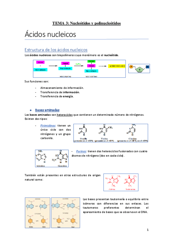 Miniatura del documento T3Nucleotidos-y-polinucleotidos.pdf