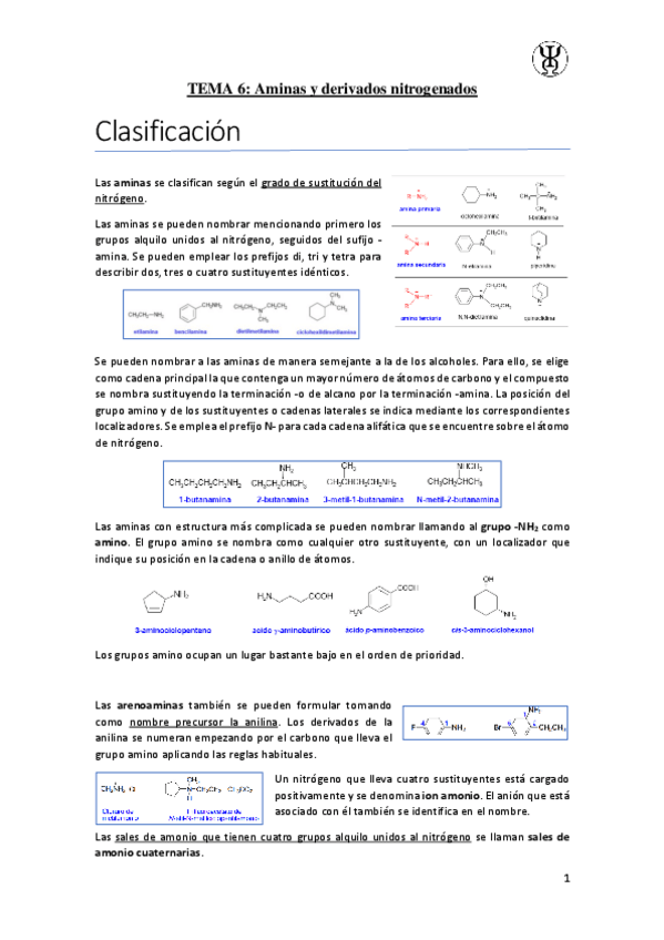 Miniatura del documento T6Aminas-y-derivados-nitrogenados.pdf