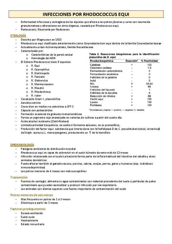 Miniatura del documento RHODOCOCCUS-EQUI.pdf