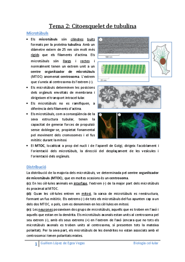 Miniatura del documento Tema 2 Tubulina.pdf
