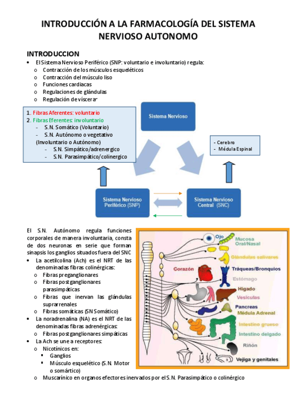 Miniatura del documento T7-FYF.pdf