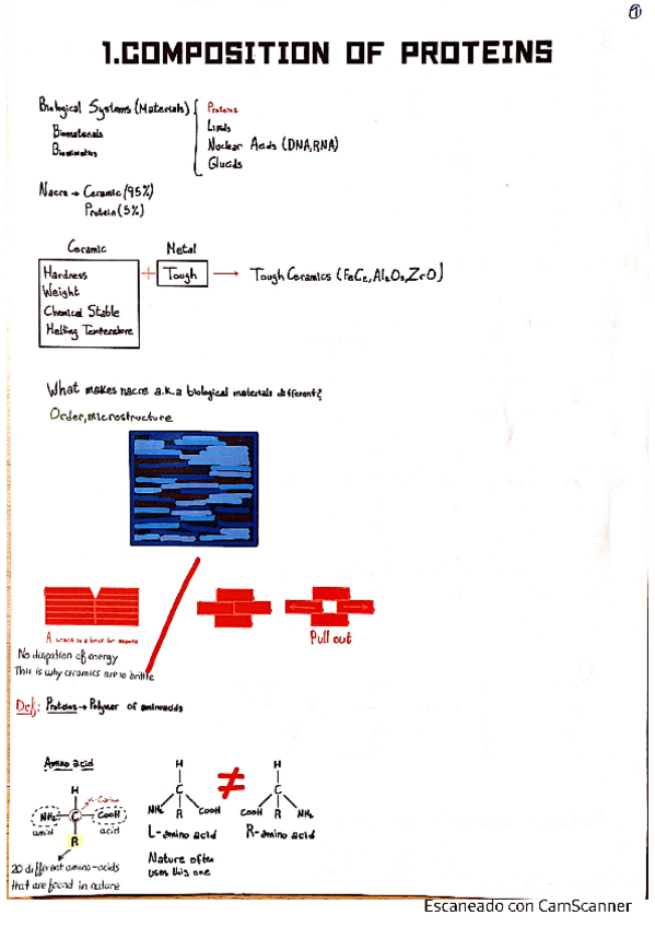 Miniatura del documento PART-1-TEORIA-ACTUALIZADA-20-21.pdf
