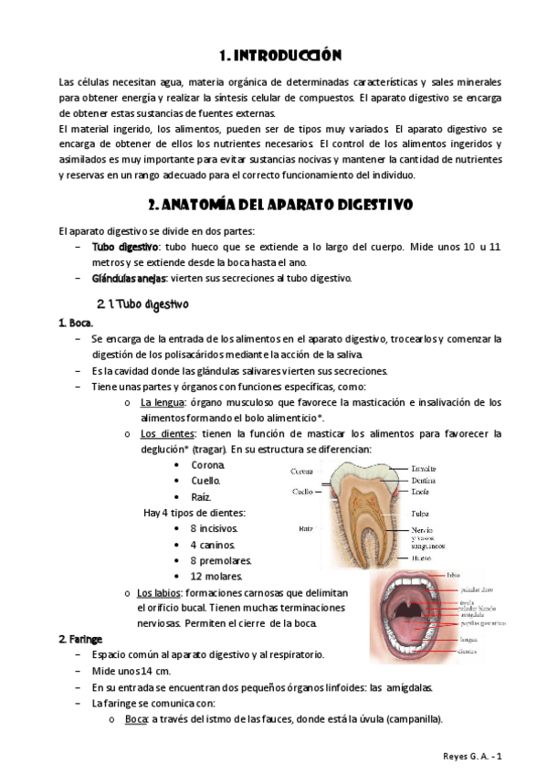 Miniatura del documento TEMA-3.pdf
