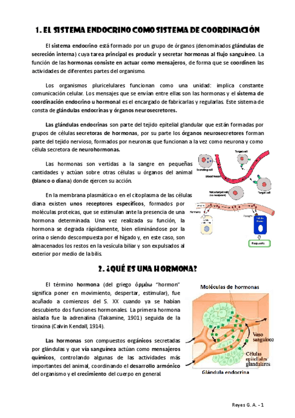 Miniatura del documento TEMA-7.pdf