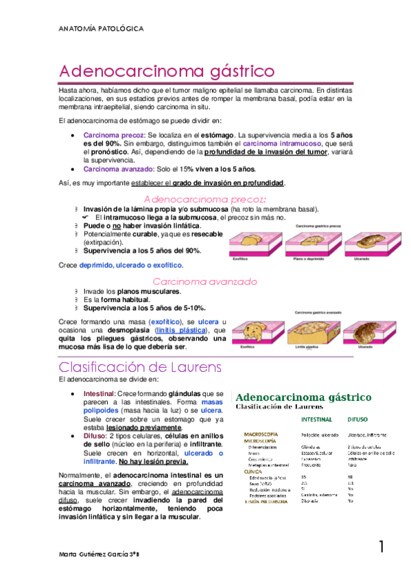 Miniatura del documento Aclaracion-sobre-adenocarcinoma-gastrico.pdf