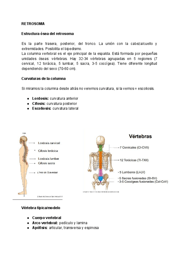 Miniatura del documento RETROSOMA-1.pdf