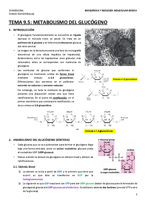 Miniatura del documento TEMA-9.pdf