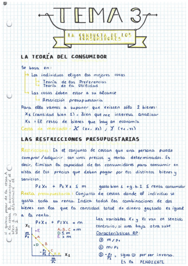 Miniatura del documento T3-La-conducta-de-los-consumidores.pdf
