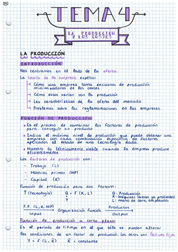 Miniatura del documento T4-La-produccion-y-los-costes.pdf