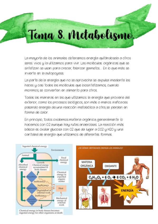 Miniatura del documento TEMA-8.pdf