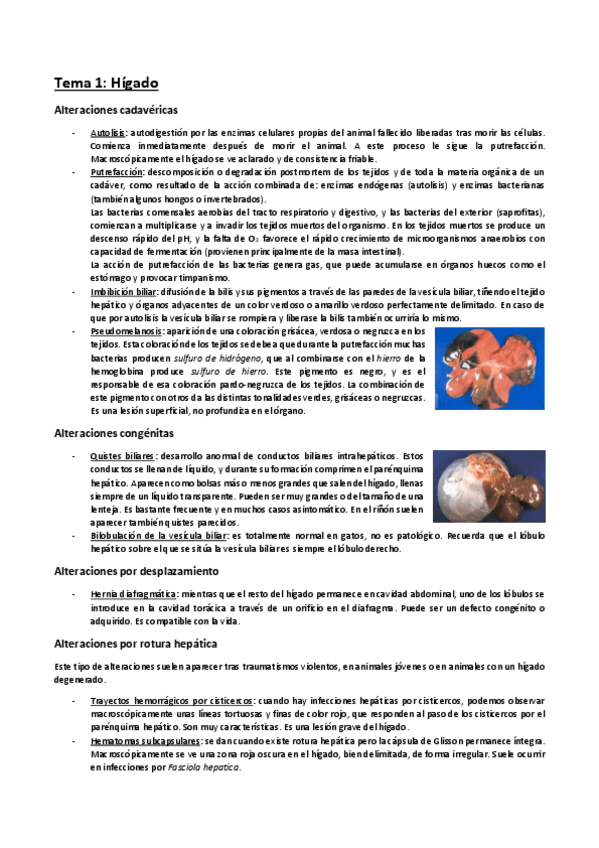 Miniatura del documento -Tema-1.pdf