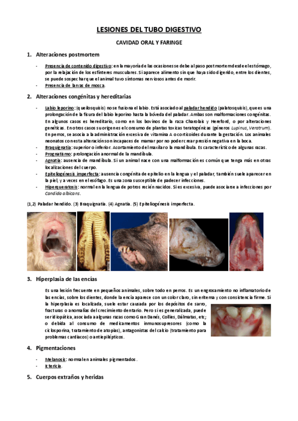 Miniatura del documento -Tema-3.pdf