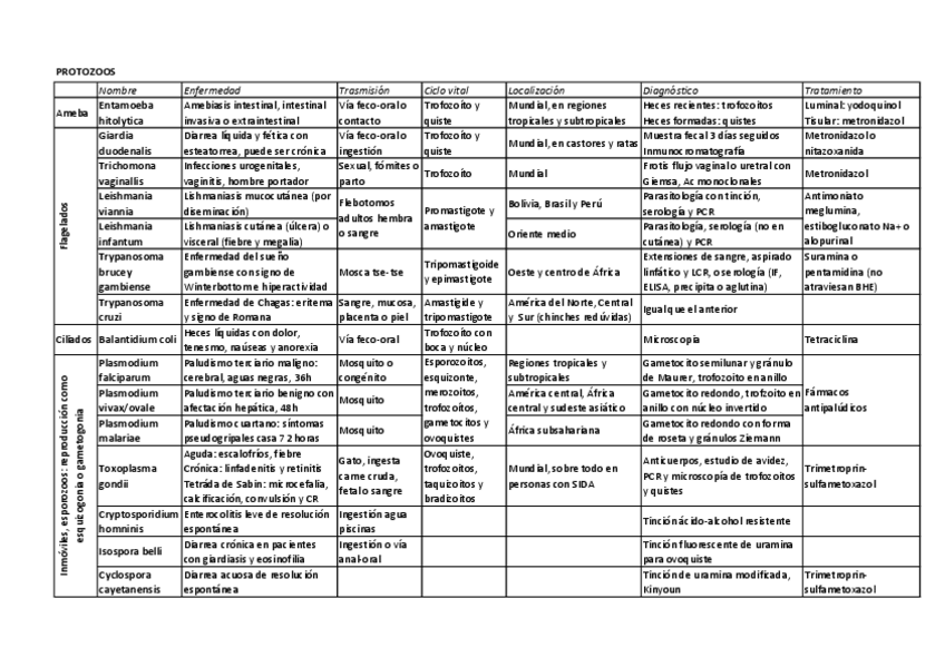 Miniatura del documento PROTOZOOS.pdf