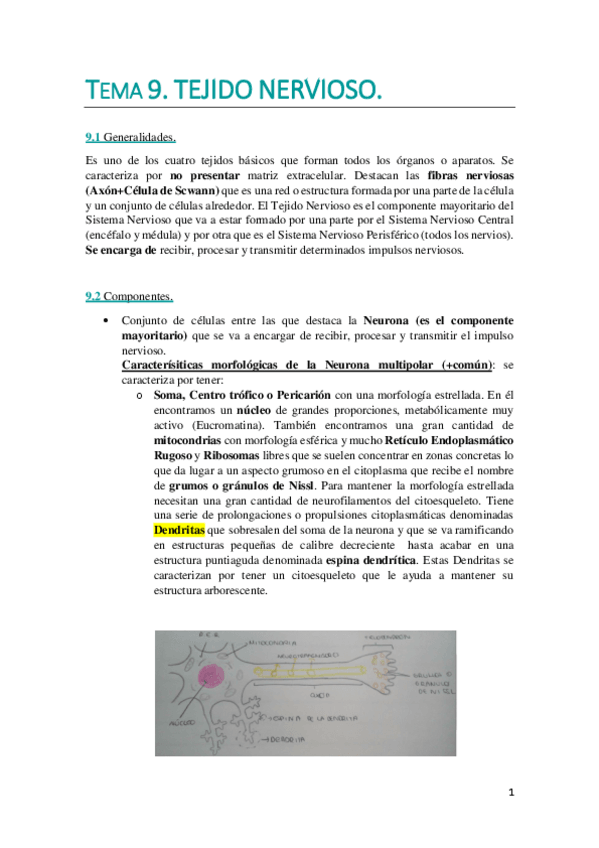Miniatura del documento Tema 9.WUOLAH DEFINITIVO.pdf