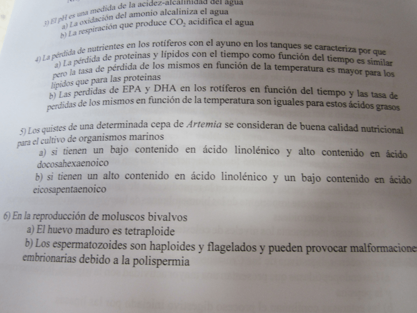 Miniatura del documento IMG0166.jpg