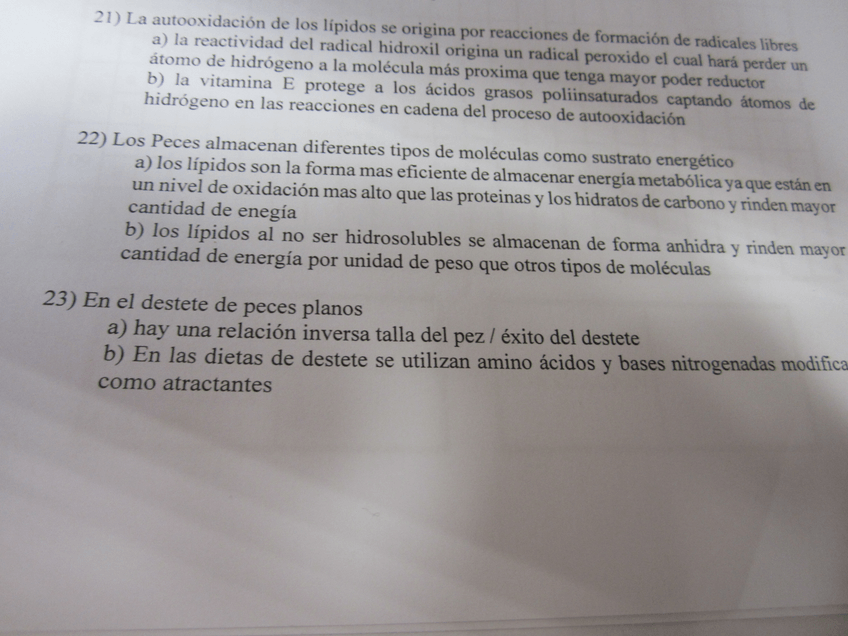 Miniatura del documento IMG0173.jpg