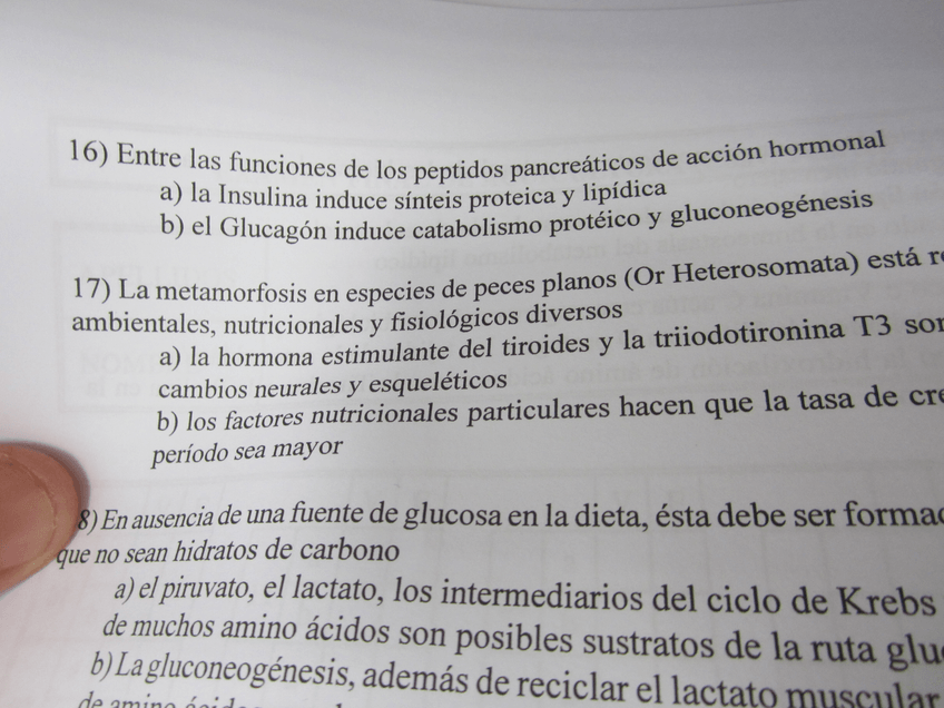 Miniatura del documento IMG0171.jpg