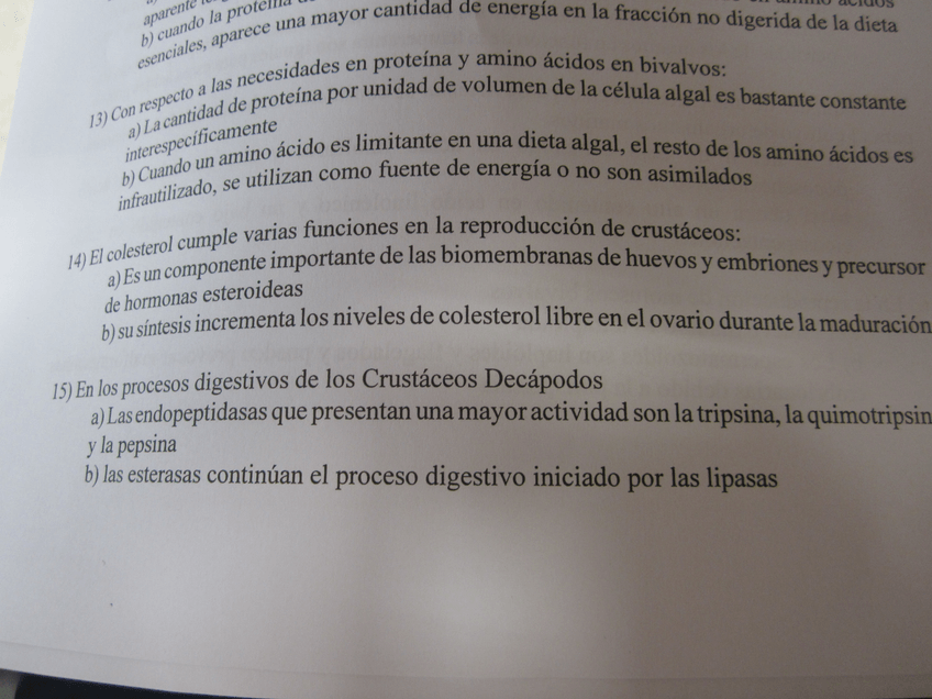 Miniatura del documento IMG0170.jpg