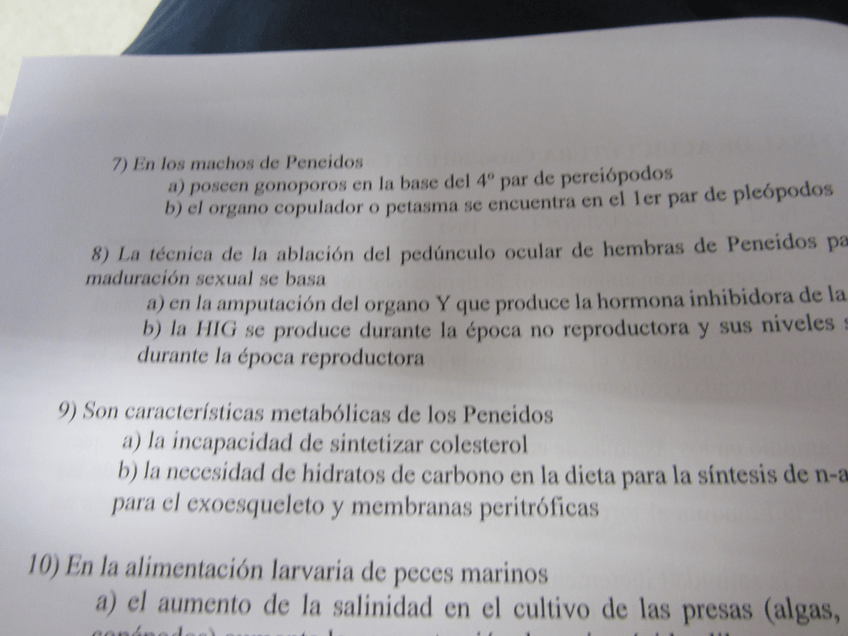 Miniatura del documento IMG0167.jpg