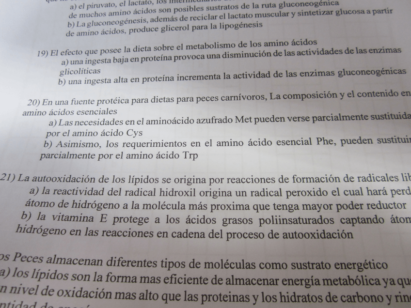 Miniatura del documento IMG0172.jpg