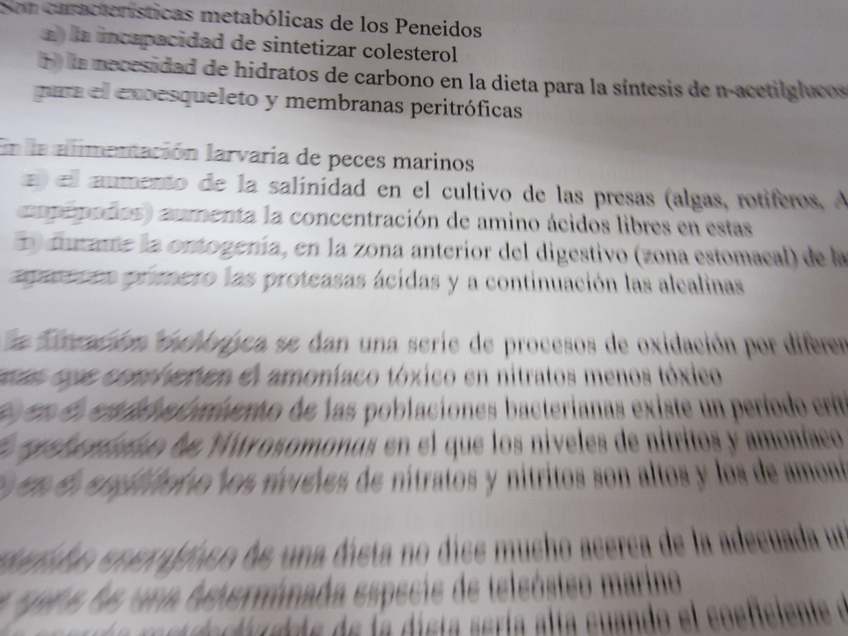 Miniatura del documento IMG0169.jpg