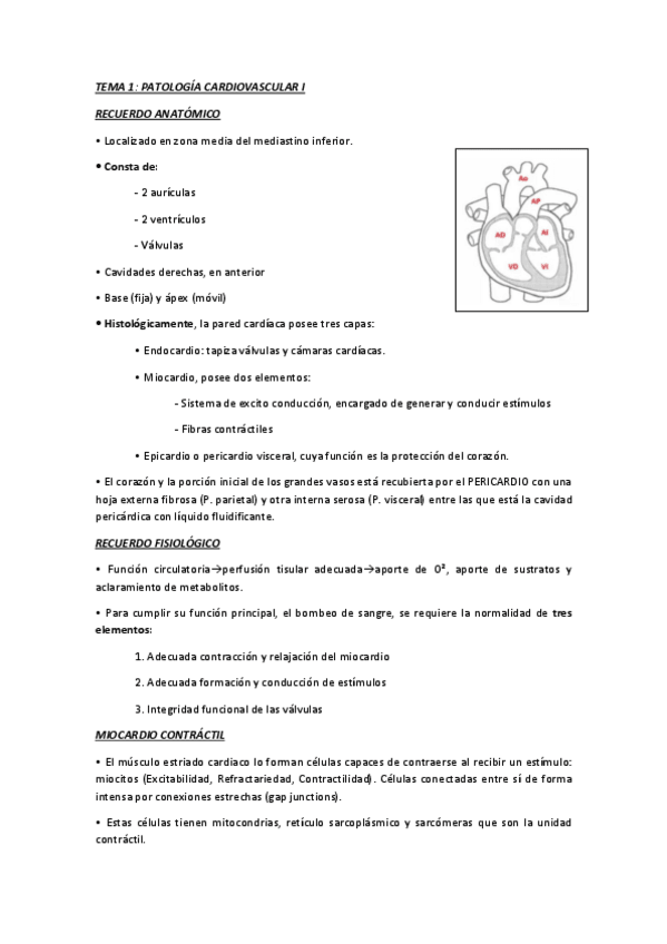Miniatura del documento Cardio-T1-10.pdf