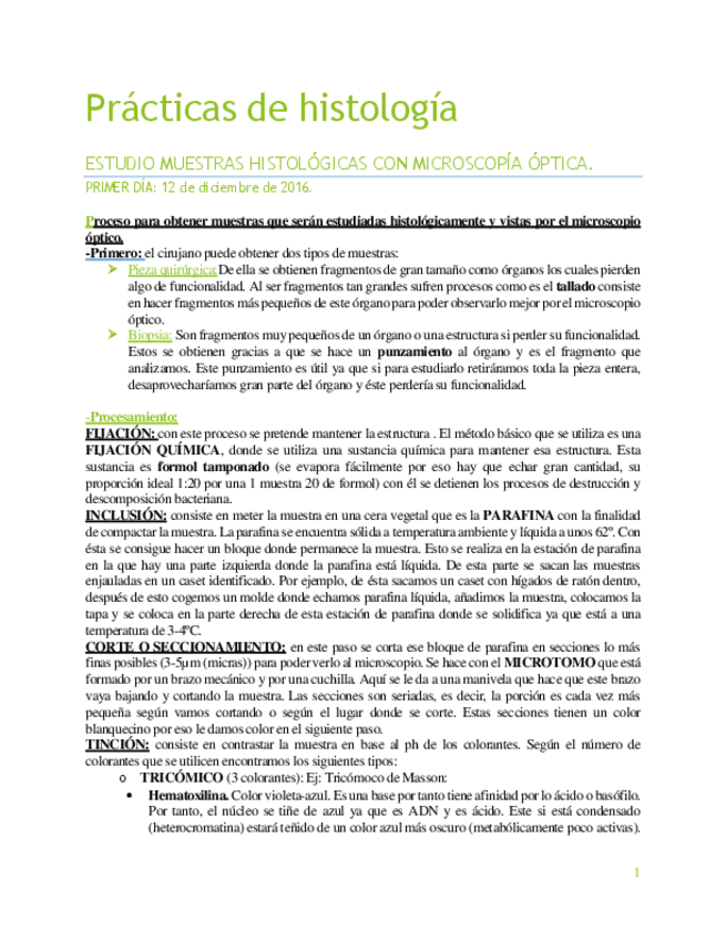 Miniatura del documento DÍA PRIMERO DE PRÁCTICAS.pdf